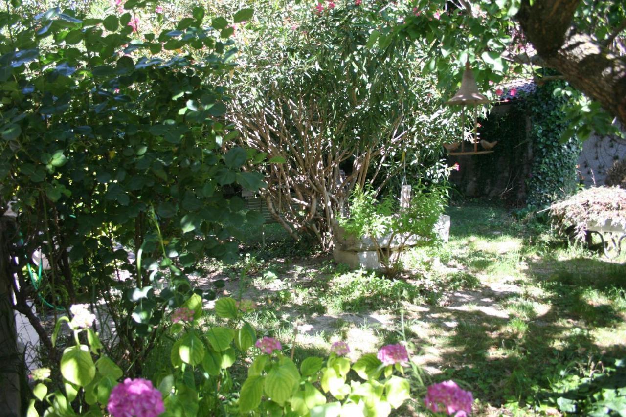 Le Petit Palais Maisonnette Aparthotel Авиньон Екстериор снимка