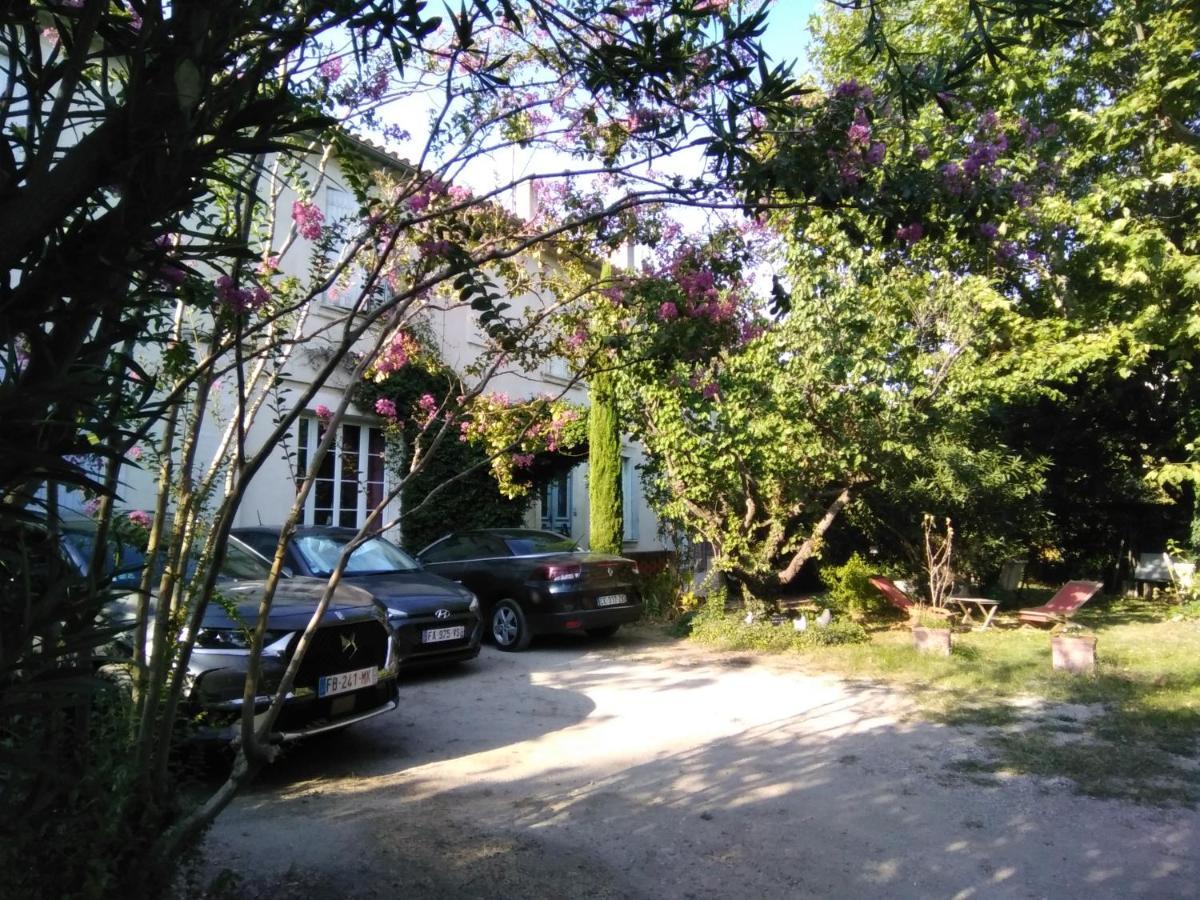 Le Petit Palais Maisonnette Aparthotel Авиньон Екстериор снимка