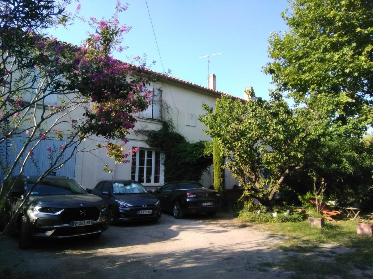 Le Petit Palais Maisonnette Aparthotel Авиньон Екстериор снимка
